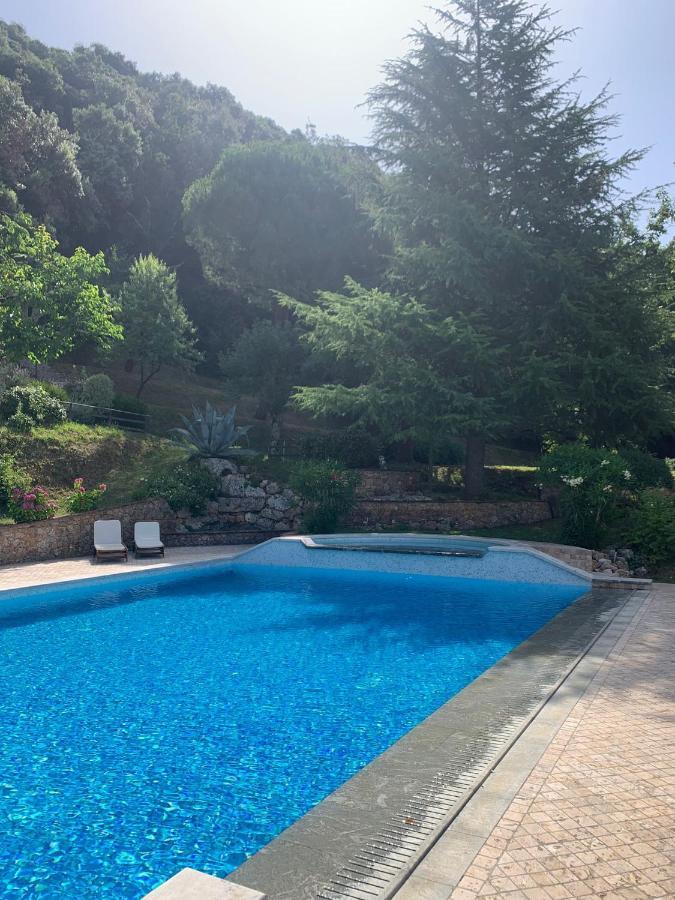 La Terrazza Sulla Versilia Пьетразанта Экстерьер фото