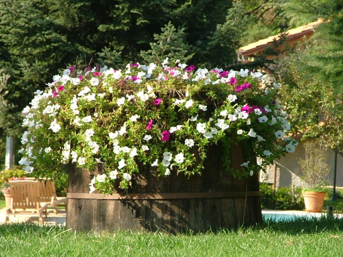 La Terrazza Sulla Versilia Пьетразанта Экстерьер фото